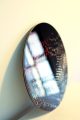 circulo_costdo_baja-scaled