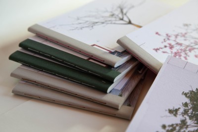 ZyklusSegunda_24112025-_MG_2455